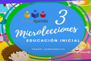 Imagen Microlecciones Programa Todos a Aprender